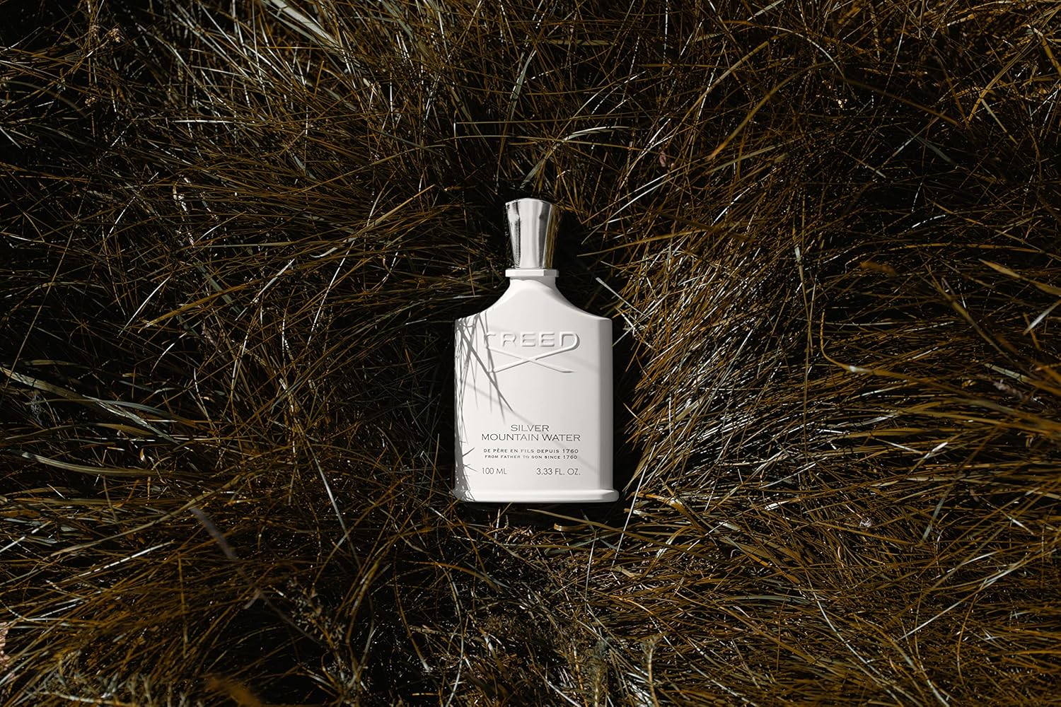 Creed Silver Mountain Water – Men's Luxury Cologne – Citrus, Fruity & Woody Fragrance 100 ml